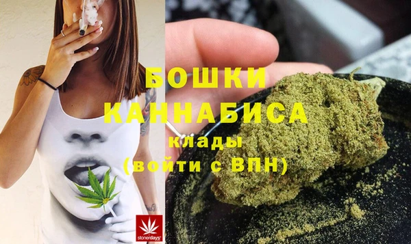 apvp Няндома